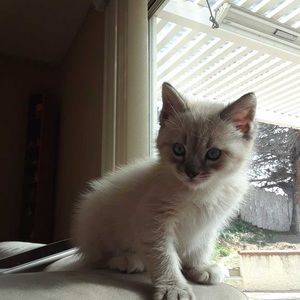 Meet your Posher, Daniel